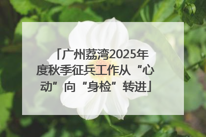广州荔湾2025年度秋季征兵工作从“心动”向“身检”转进
